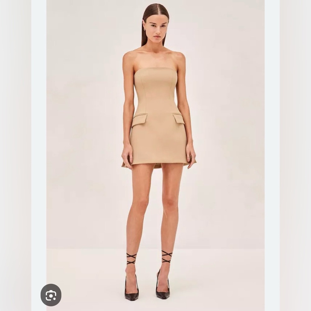 Alexis Cynthia Dress in Camel NWT
